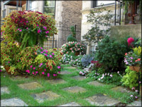 English Garden Design on Commercial Properties